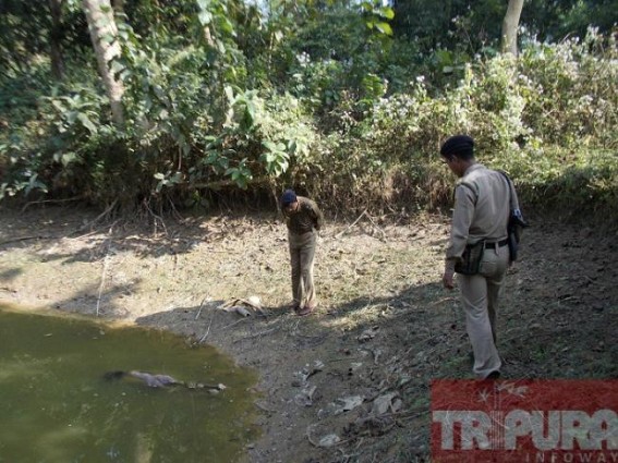 Dead body of an aged widow recovered at Kamalpur